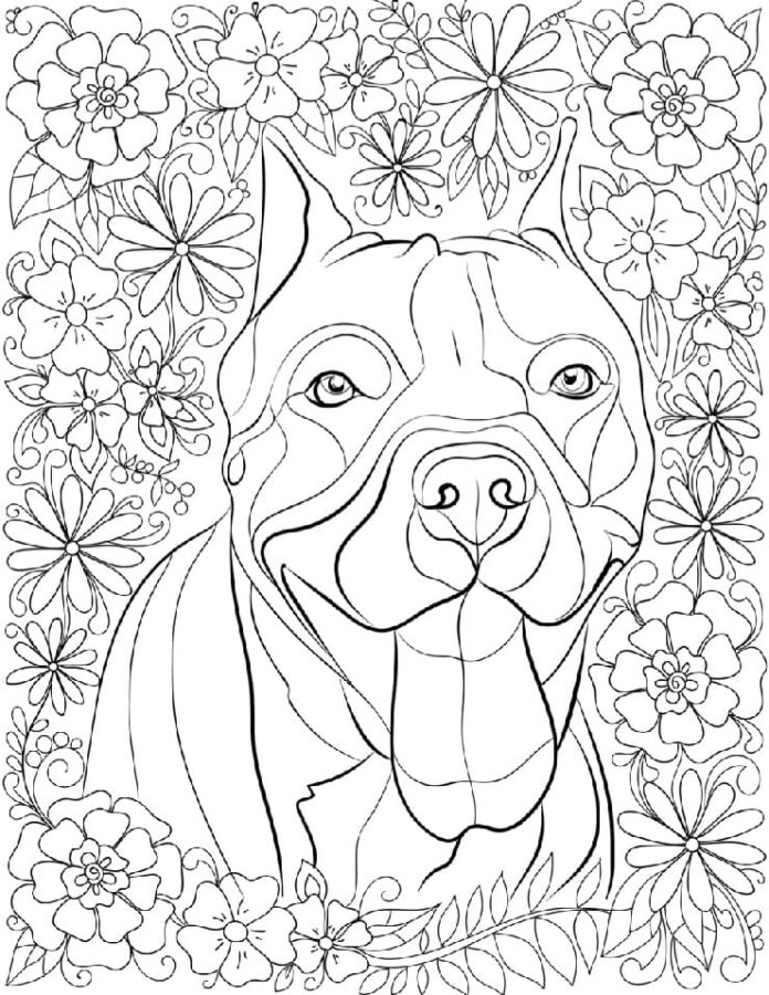 Livre de coloriage chien caché dans les fleurs