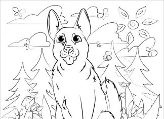 Coloring book German Shepherd dog sitting in a meadow with bees