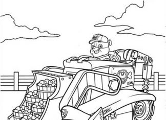Coloring page of dog Chase and his friend picking fruit