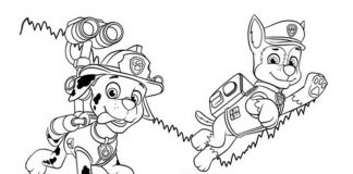 Coloring page doggies from the cartoon dog patrol in action Chase