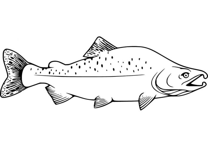 Feuille à colorier imprimable d'un saumon nageant dans l'eau de montagne