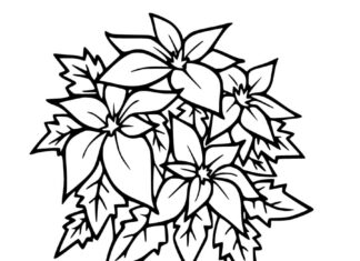 Printable coloring book ponsation in a pot