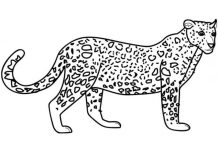 tulostettava värityskirja väijyvästä leopardista