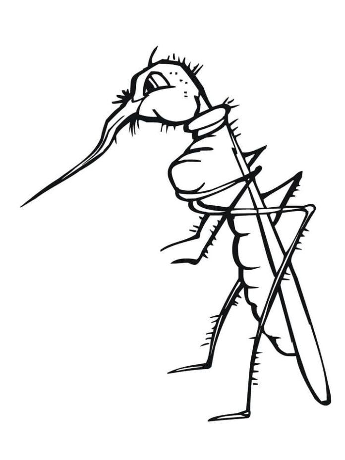 egy hosszú orrú, leselkedő rovar kifestőkönyve