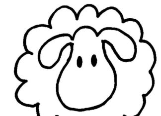 Färgbok av ett fluffigt får