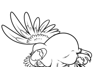Coloring page fluffy ara parrot gliding through the air