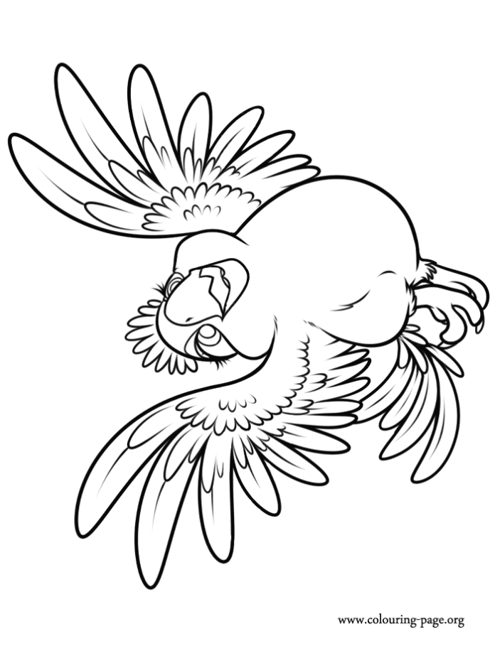 Coloring page fluffy ara parrot gliding through the air