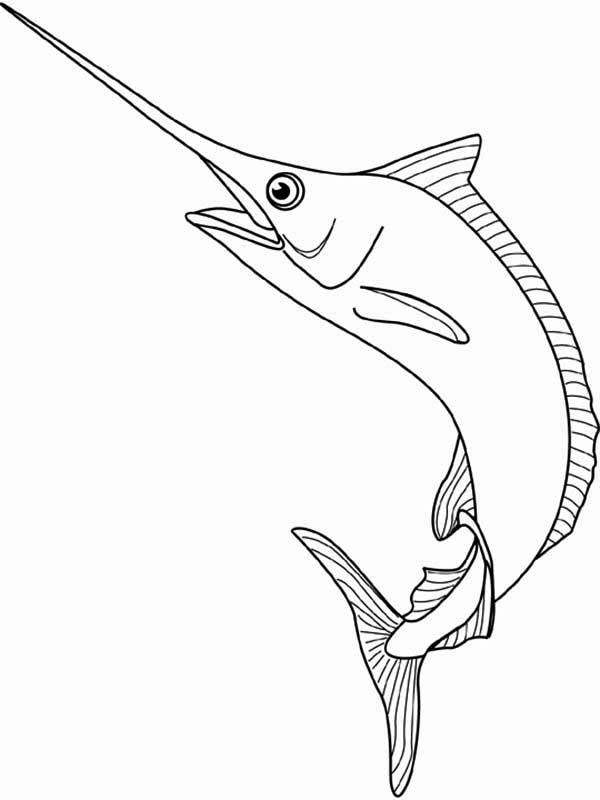 coloring page of a fish defending itself with its sword