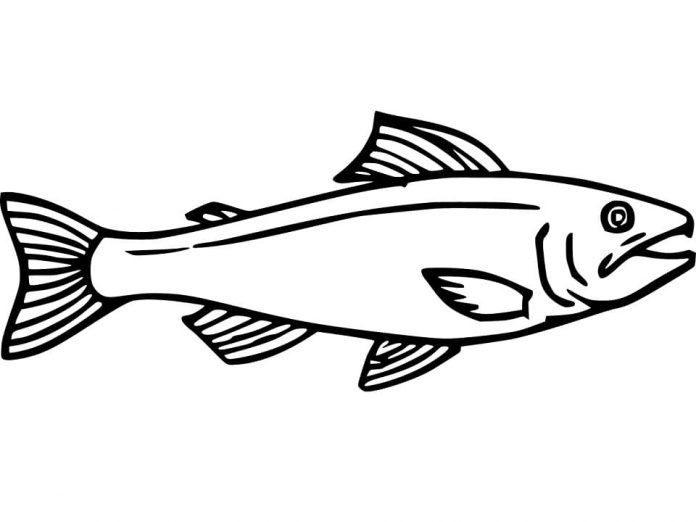 nyomtatható színező lap egy halról, amely lefelé úszik a folyón