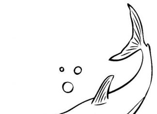 Printable coloring book of a fish escaping from danger