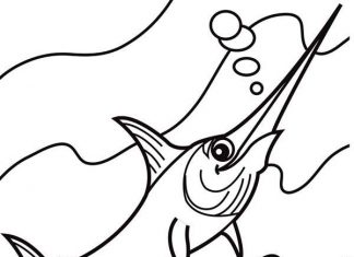 Swordfish coloring book for kids to print