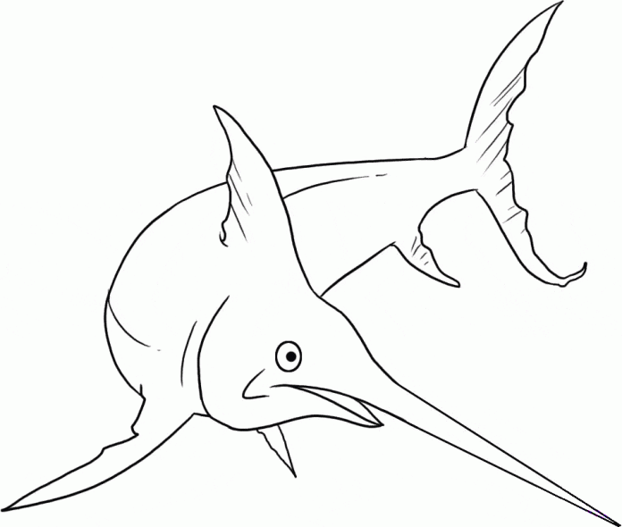 coloring page fish with pointy nose