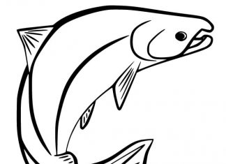 Druckbare Malbuch eines Fisches winken seine hintere Flosse