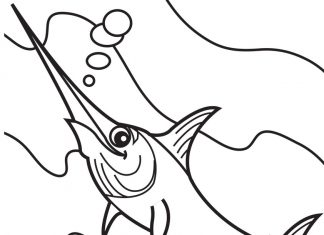 Printable coloring book of a fish on a sea wave
