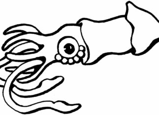 malebog af en sød blæksprutte, der svømmer i havet