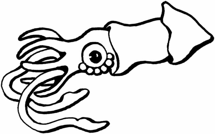 Coloring book of a cute squid swimming in the ocean