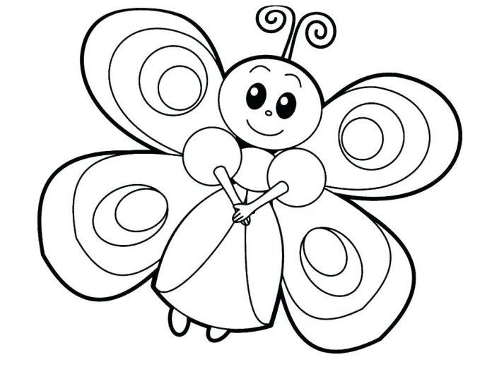 omalovánky sladký motýl léta