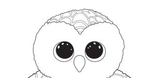 coloriage hibou swoops