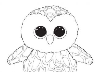 coloriage hibou swoops