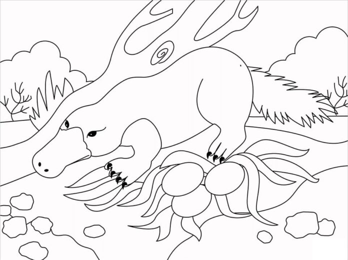Coloring book mammal laying eggs on land