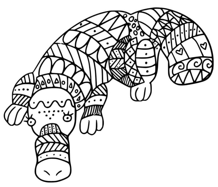 coloriage de mammifères avec des motifs intéressants à imprimer