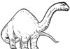 coloring page old brachiosaurus