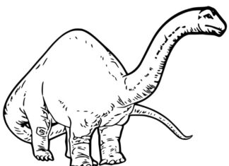 página para colorear del viejo braquiosaurio