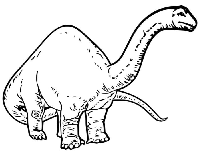 coloring page old brachiosaurus