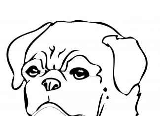 målarbok av en gammal hund med ett surmulet ansikte.