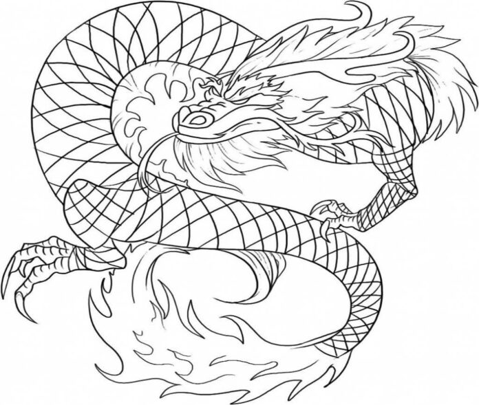 Coloring book of an old dragon preparing to attack