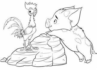 Coloring book pig with rooster on a rock in the fairy tale Moana