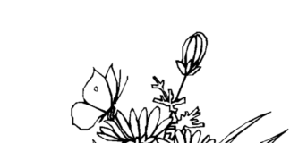 Coloring book tattoo of a bouquet of flowers
