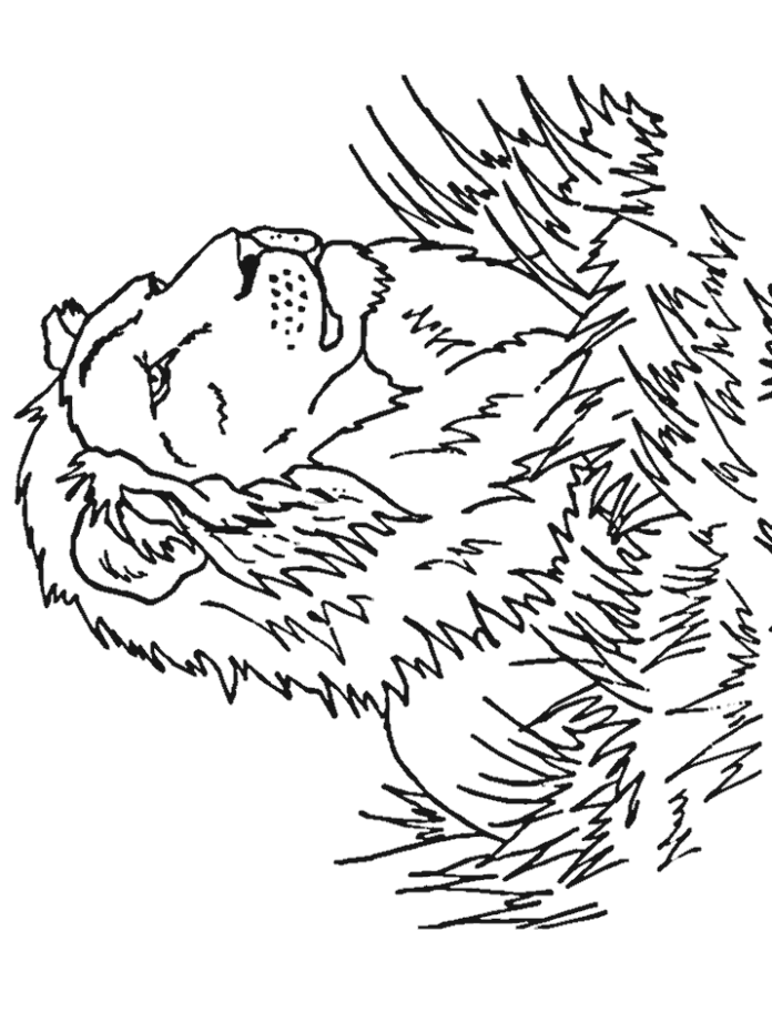 coloring page tattoo of a menacing lion