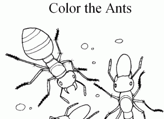 Farvelægningsbog til udskrivning med tre myrer, der går på sand