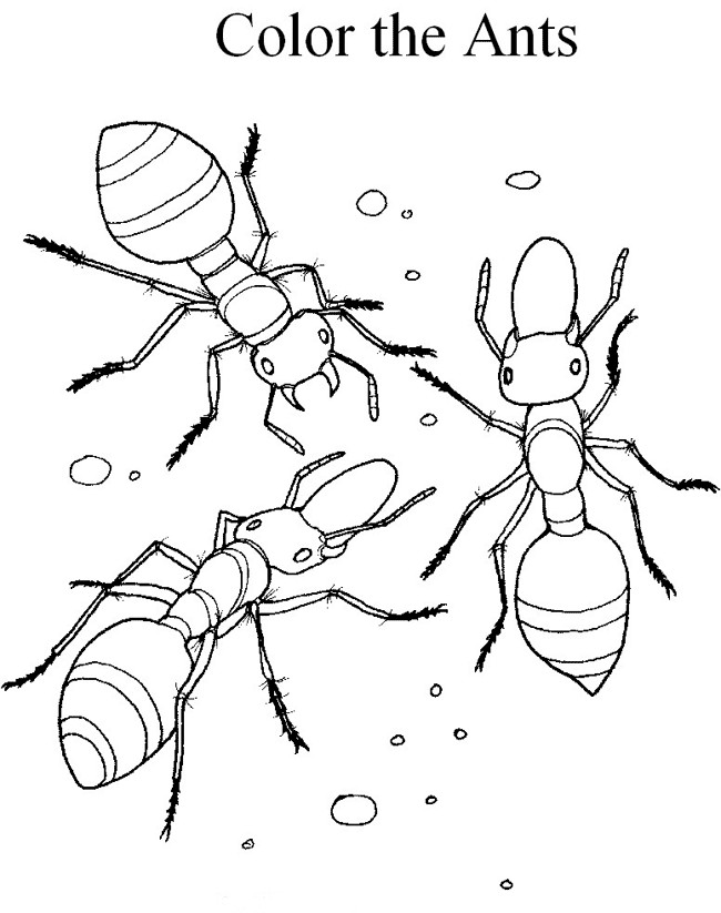 Printable coloring book of three ants walking on sand