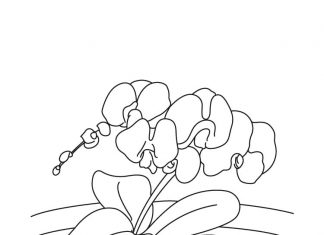 Coloring sheet of a cute flower in a pot