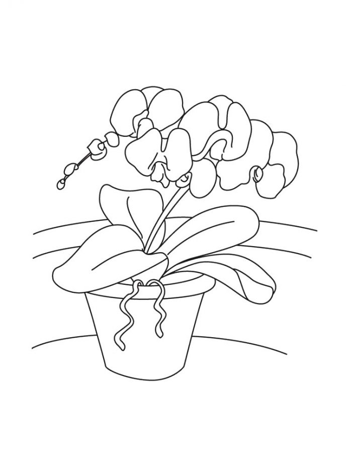 Malvorlage einer niedlichen Blume in einem Topf