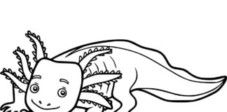 Coloring book smiling axolotl with feelers on its head
