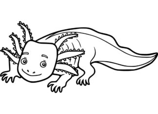 livre de coloriage axolotl souriant avec des antennes sur la tête