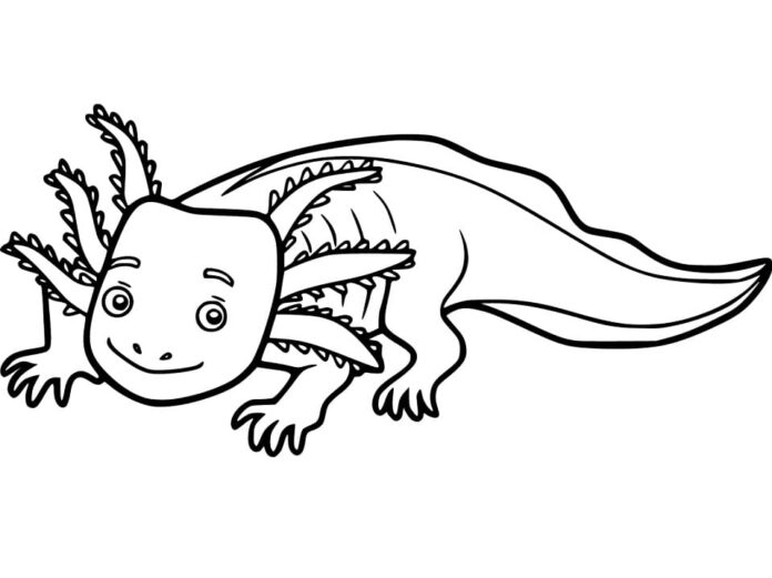 malebog smilende axolotl med følehorn på hovedet