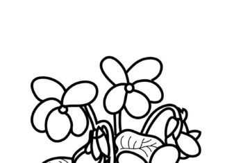 Printable coloring book of withering violets in a bouquet