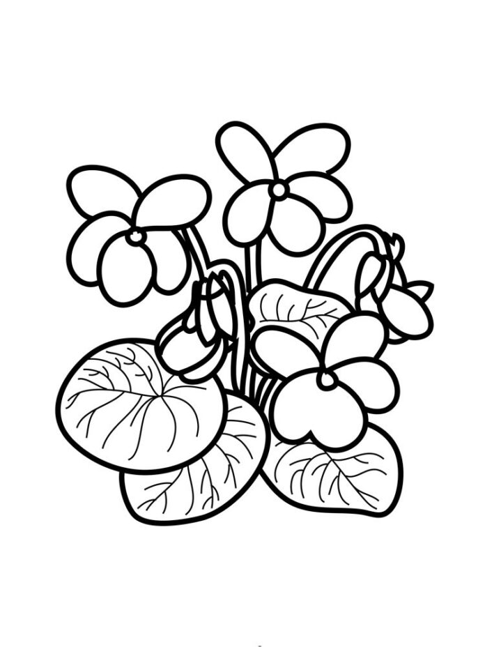 Printable coloring book of withering violets in a bouquet