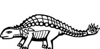 színező oldal fegyveres ankylosaurus