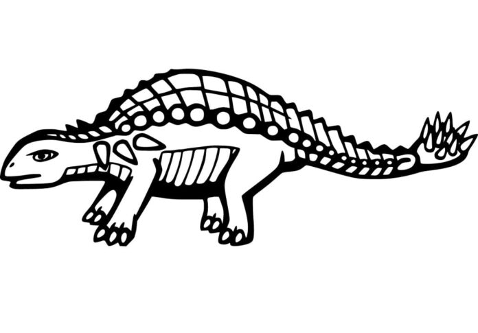 page à colorier ankylosaurus armé