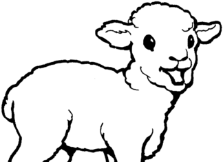 livre de coloriage d'un agneau joyeux aux oreilles décollées