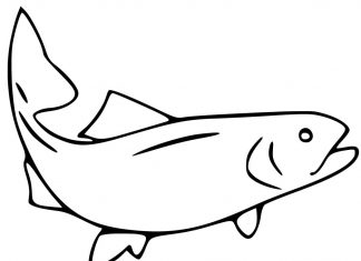 Farvelægningsark til udskrivning af en stor laks, der løber amok med en finne