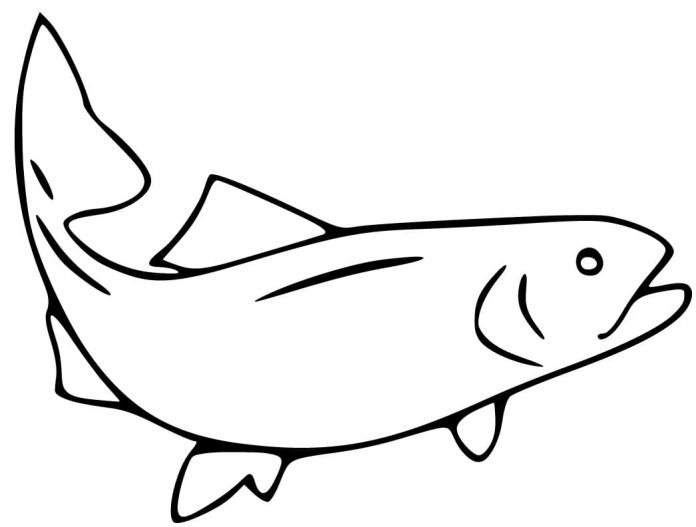 Feuille à colorier imprimable d'un grand saumon en train de courir avec une nageoire.