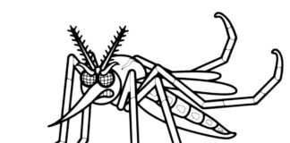 målarbok arg mygga som viftar med benen