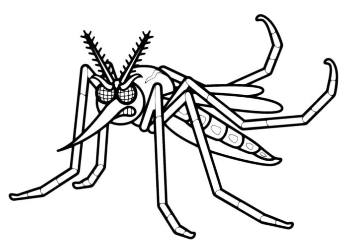 livro de colorir um mosquito furioso acenando suas pernas