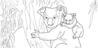 página para colorear de koalas trepando a un árbol